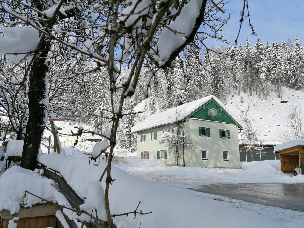 Helle Ferienwohnung Saunahaus Annaberg im Lammertal Dış mekan fotoğraf