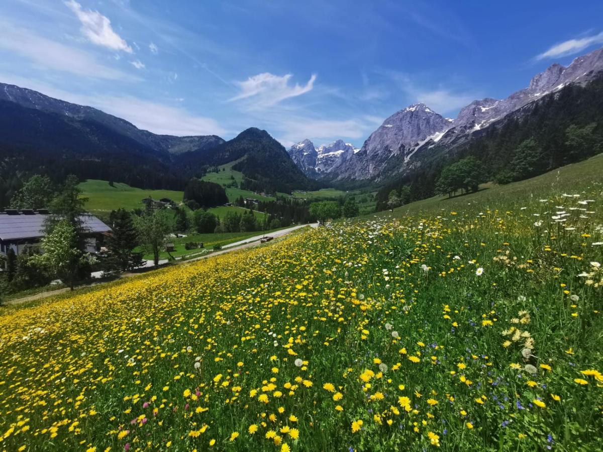 Helle Ferienwohnung Saunahaus Annaberg im Lammertal Dış mekan fotoğraf