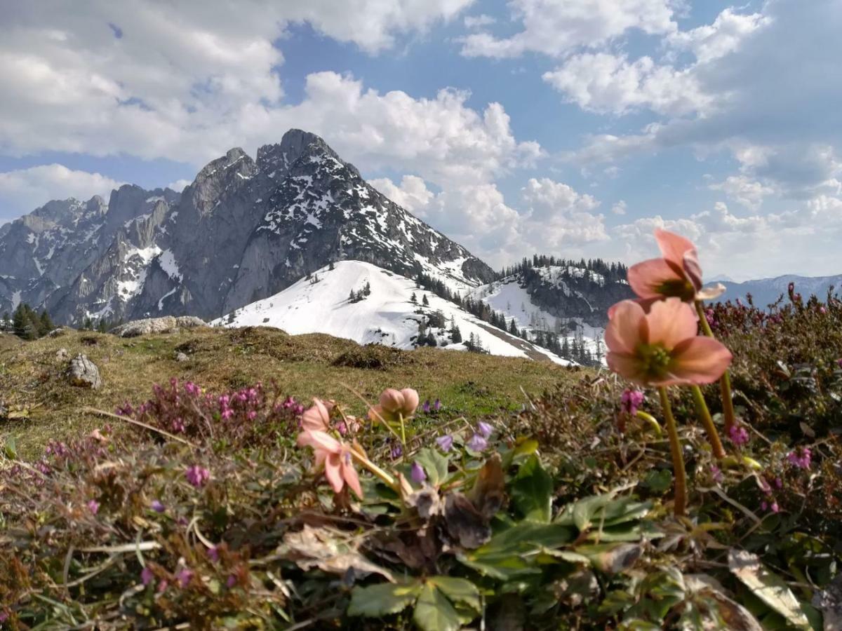 Helle Ferienwohnung Saunahaus Annaberg im Lammertal Dış mekan fotoğraf