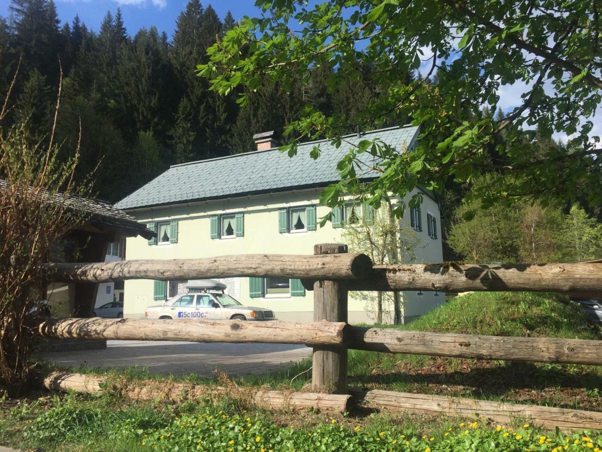 Helle Ferienwohnung Saunahaus Annaberg im Lammertal Dış mekan fotoğraf